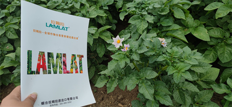 水溶肥,翠姆,拉姆拉 水溶肥,翠姆,拉姆拉