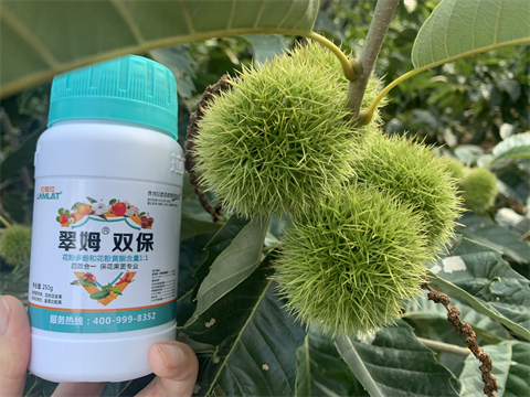 水溶肥品牌,板栗?；ū９?翠姆雙保