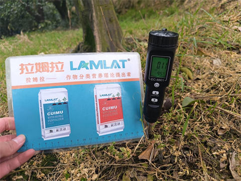 進口水溶肥,柑橘種植,拉姆拉滴灌級特種肥