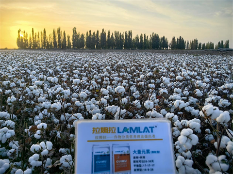 水溶肥品牌,棉花種植,拉姆拉滴灌級(jí)特種肥