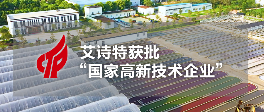 艾詩(shī)特蝦青素