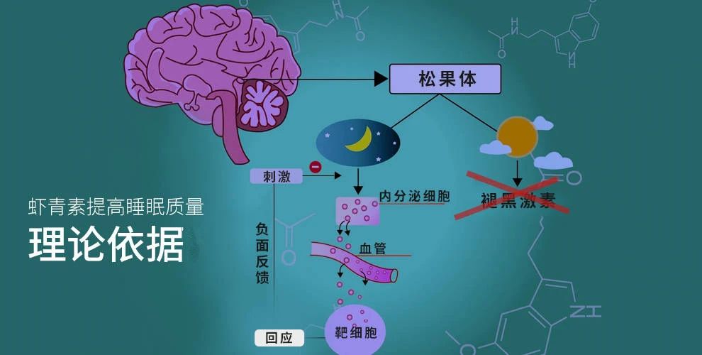 艾詩特蝦青素