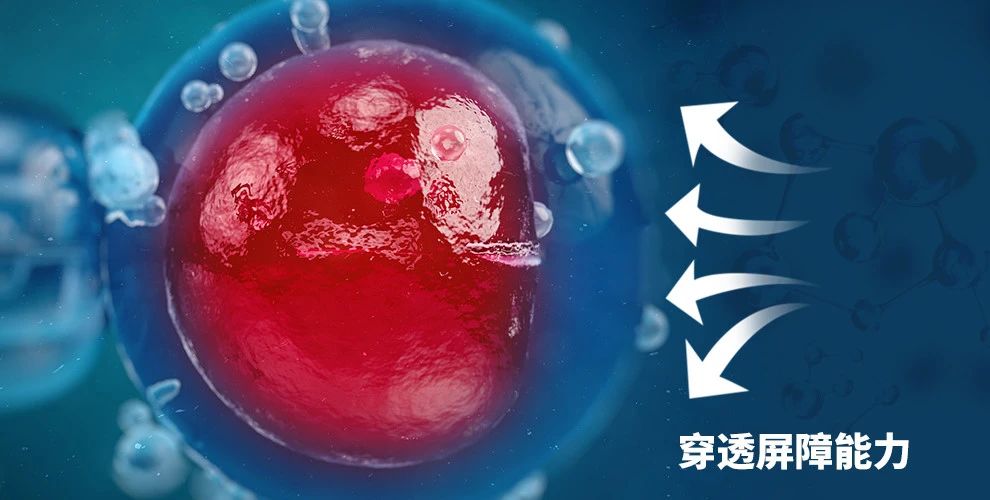 艾詩特蝦青素