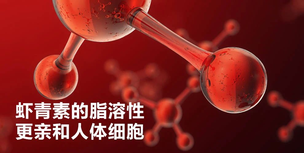 艾詩特蝦青素
