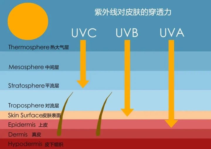 艾詩特蝦青素