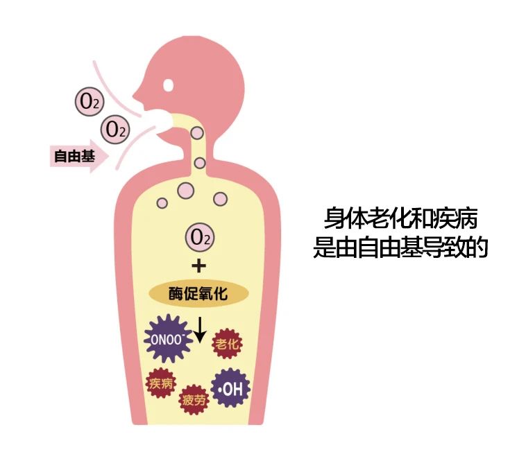 艾詩特蝦青素