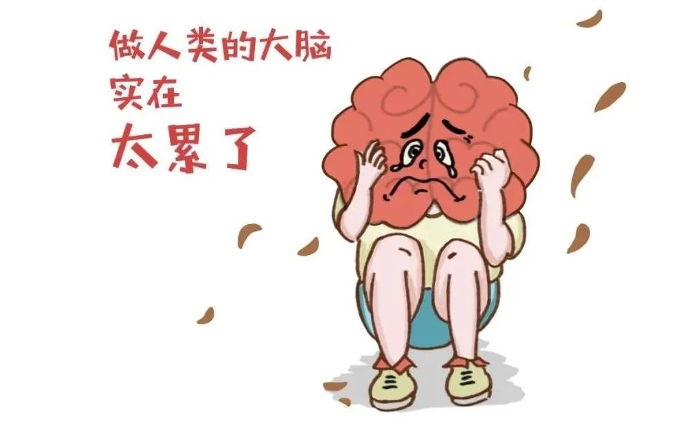艾詩特蝦青素