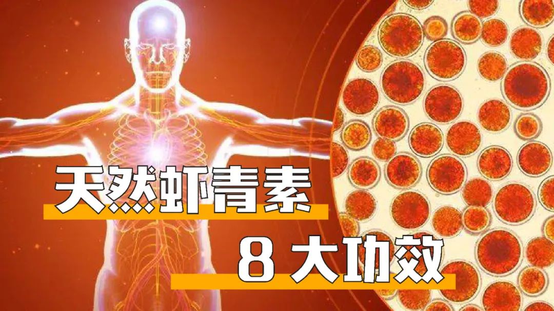艾詩特蝦青素