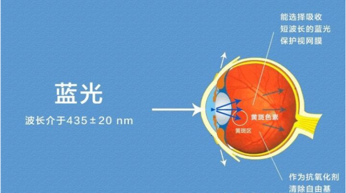 艾詩特蝦青素