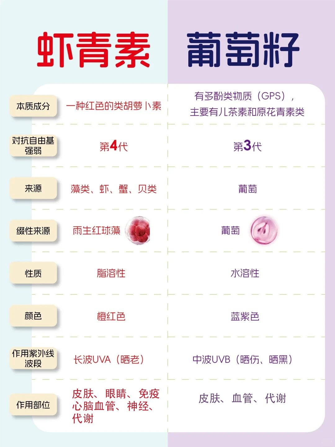 艾詩特蝦青素