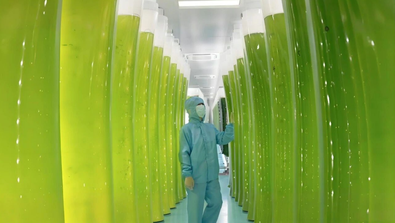 艾詩特蝦青素 艾詩特蝦青素
