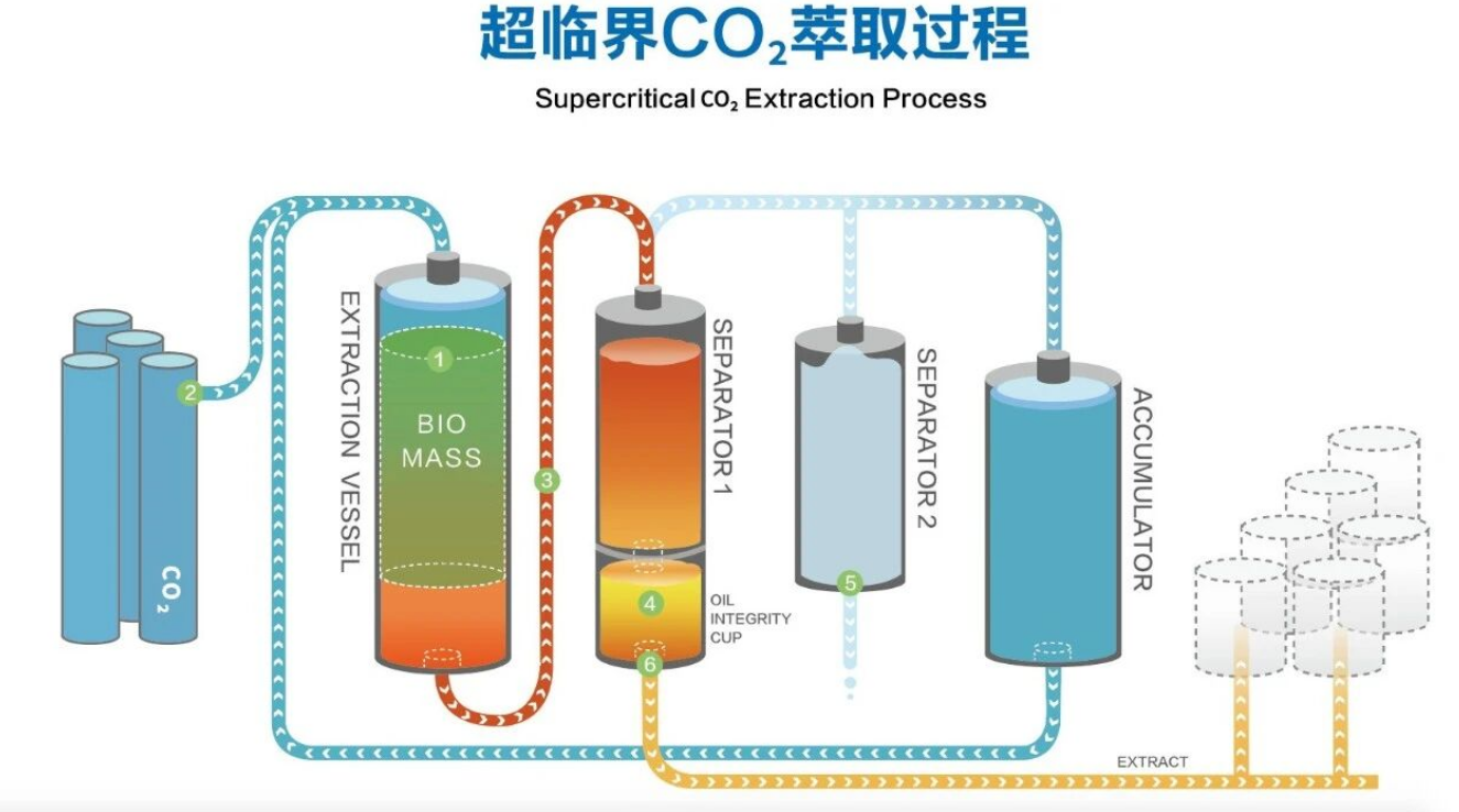 艾詩特蝦青素