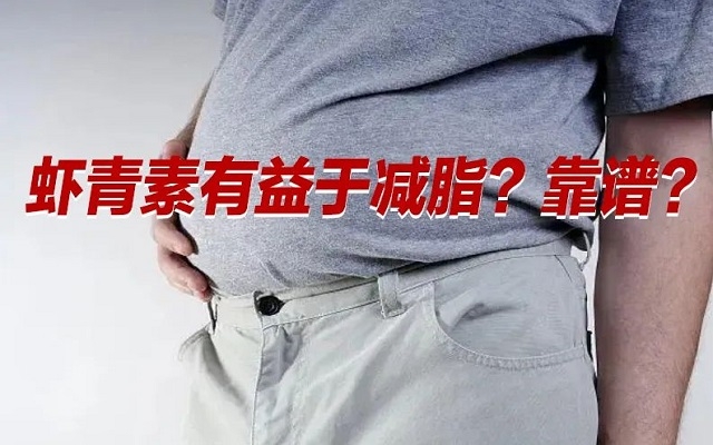 【冷知識(shí)】肥胖居然是一種炎癥！蝦青素有益于“消炎”？