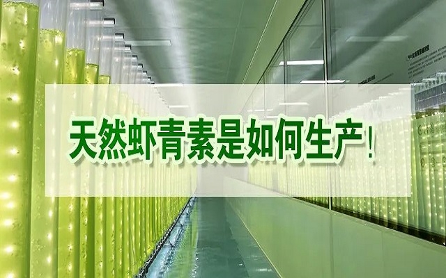 天然蝦青素是如何生產(chǎn)？走進源頭工廠看一看！
